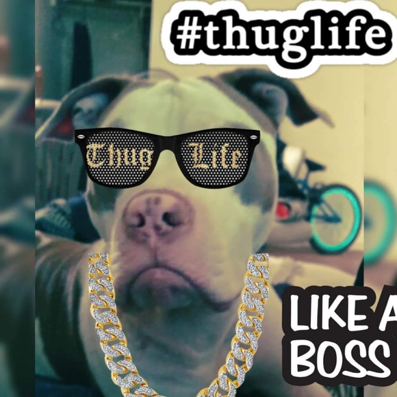 Meet your Posher, Drop - Picture 4 of 6